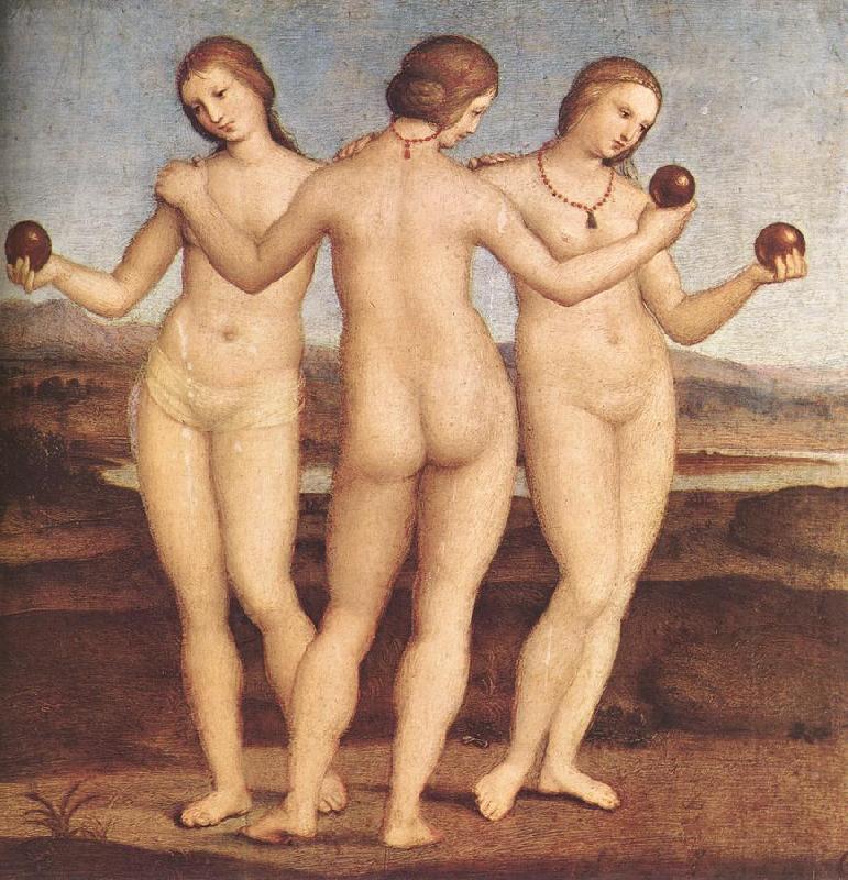 The Three Graces F, RAFFAELLO Sanzio